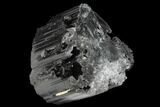 Terminated Black Tourmaline (Schorl) Crystal - Madagascar #174114-1